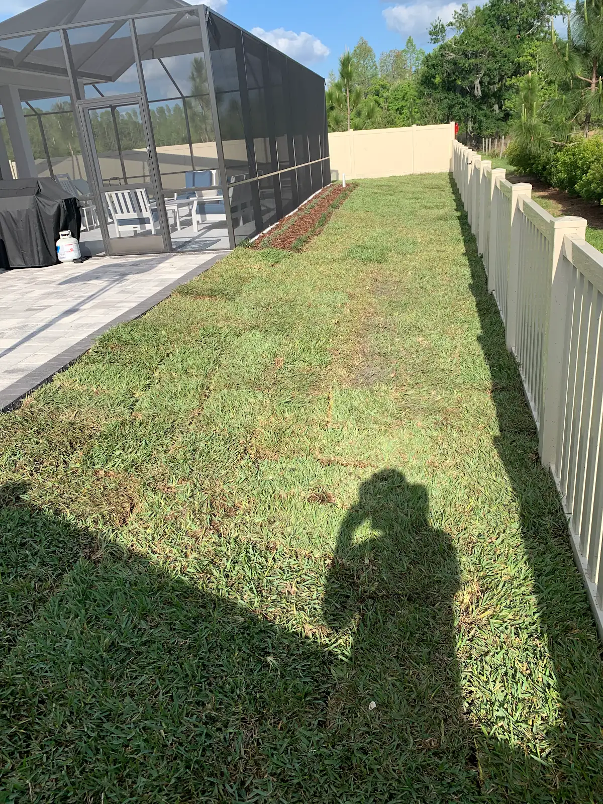 Freshly installed artificial turf in a backyard adjacent to a screened patio enclosure and white picket fence