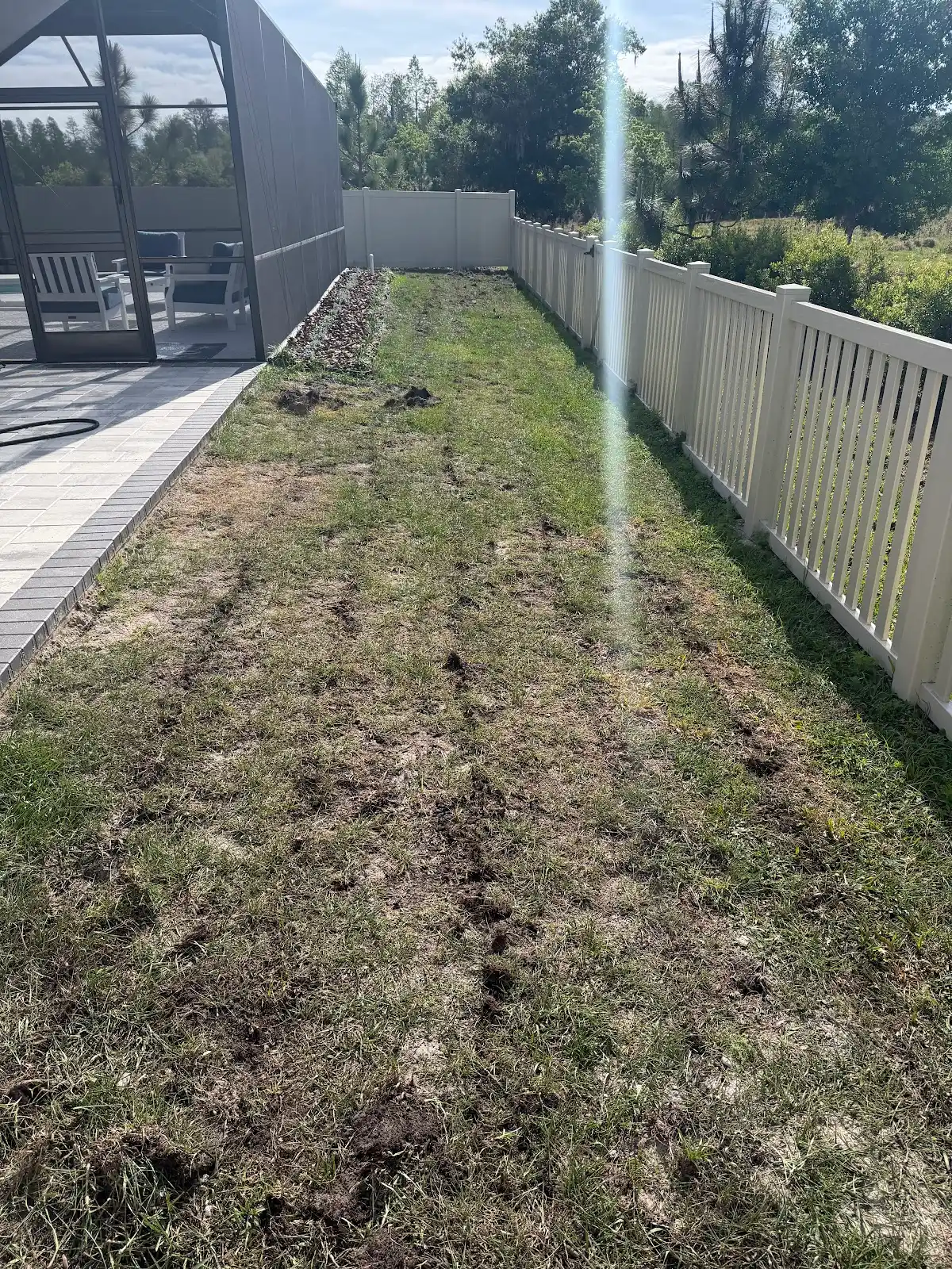 A backyard lawn area with patchy grass and some soil disturbance next to a screened patio enclosure and a white fence on a sunny day.