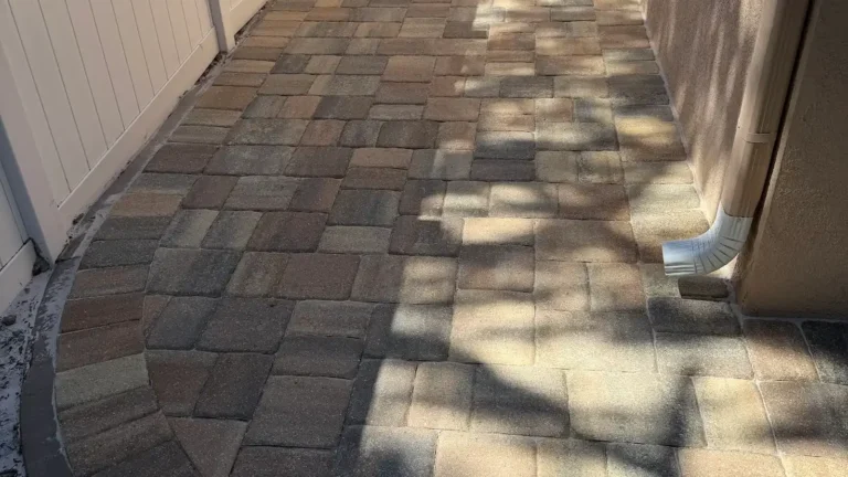 How to Stop Weeds Between Pavers in Florida