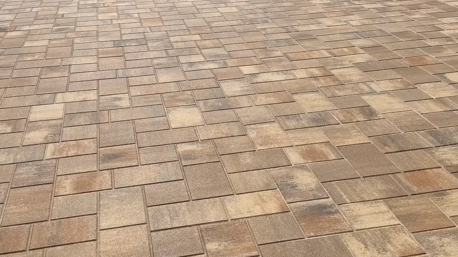polymeric sand failing shown in a real Tampa Bay outdoor project