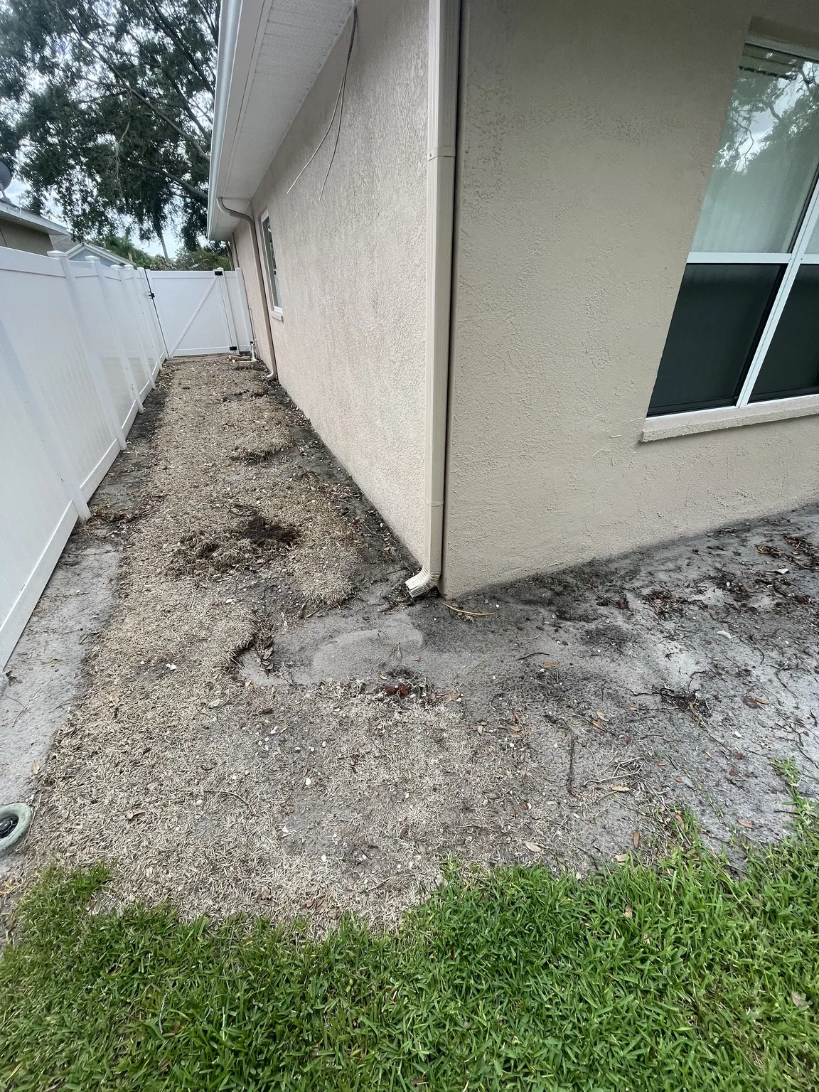 Side yard before a new paver walkway installation in Tampa Bay